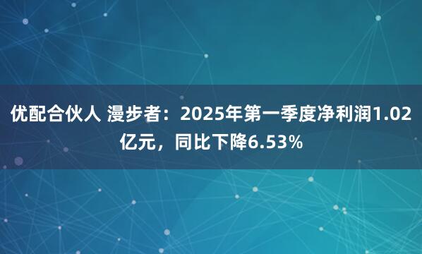 优配合伙人 漫步者：2025年第一季度净利润1.02亿元，同比下降6.53%