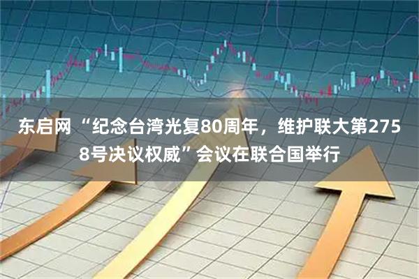 东启网 “纪念台湾光复80周年,维护联大第2758号决议权威”会议在联合国举行