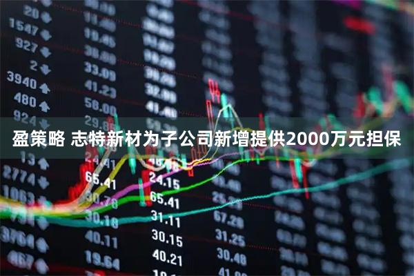 盈策略 志特新材为子公司新增提供2000万元担保